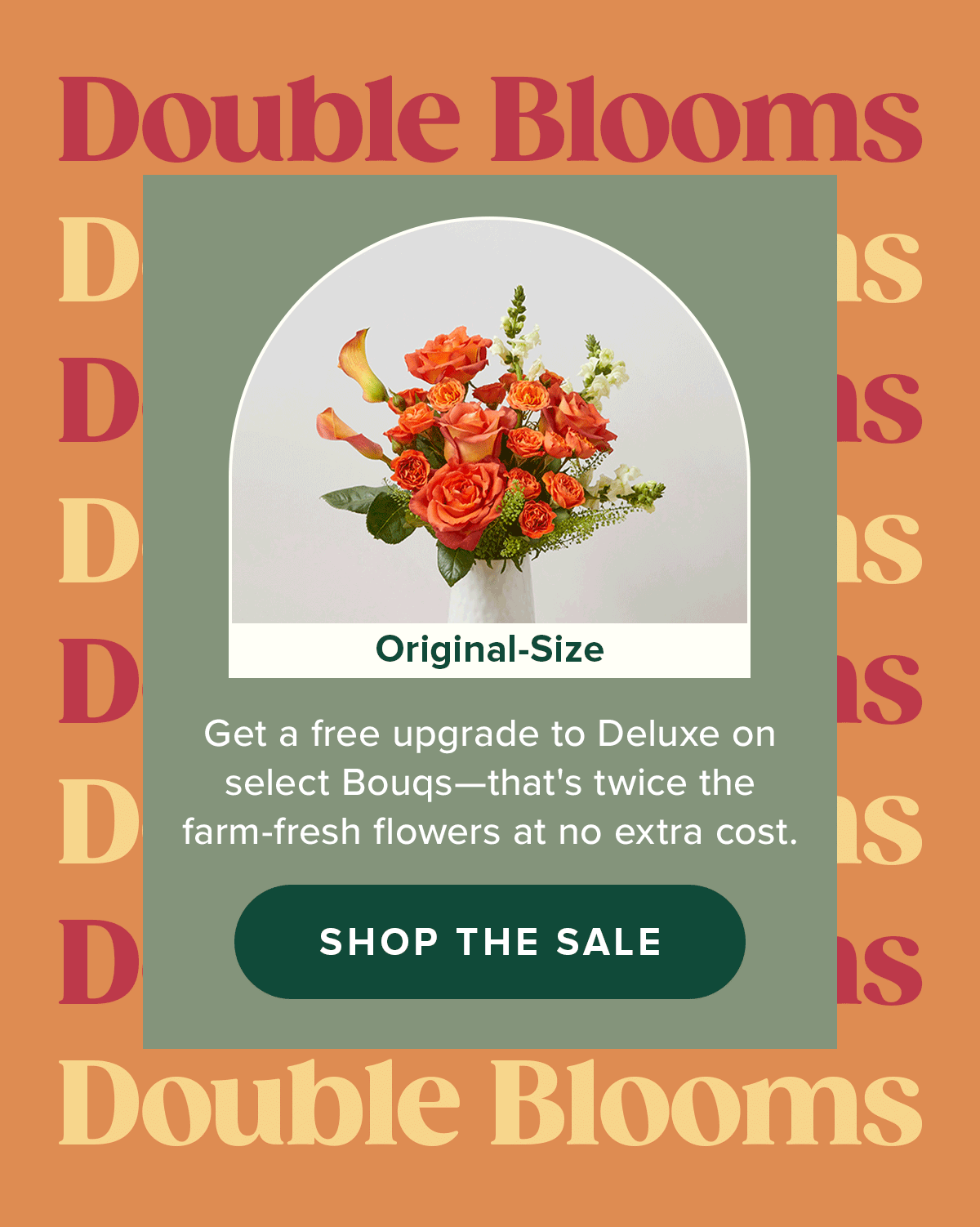 Last Chance Grab Your Free Deluxe Upgrade at The Bouqs Co. 🌸 The
